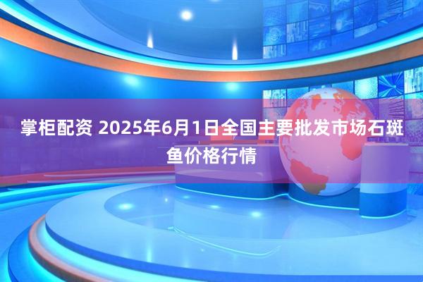 掌柜配资 2025年6月1日全国主要批发市场石斑鱼价格行情