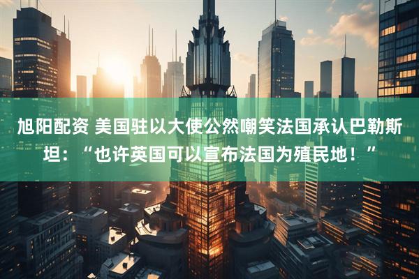 旭阳配资 美国驻以大使公然嘲笑法国承认巴勒斯坦：“也许英国可以宣布法国为殖民地！”
