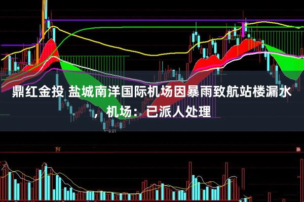 鼎红金投 盐城南洋国际机场因暴雨致航站楼漏水，机场：已派人处理