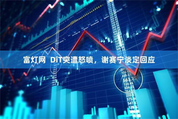 富灯网  DiT突遭怒喷，谢赛宁淡定回应