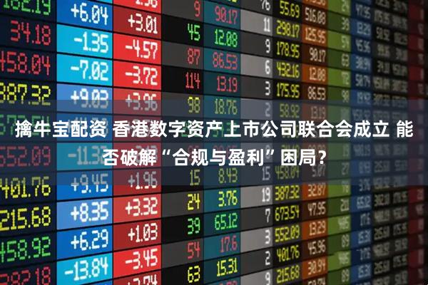 擒牛宝配资 香港数字资产上市公司联合会成立 能否破解“合规与盈利”困局？