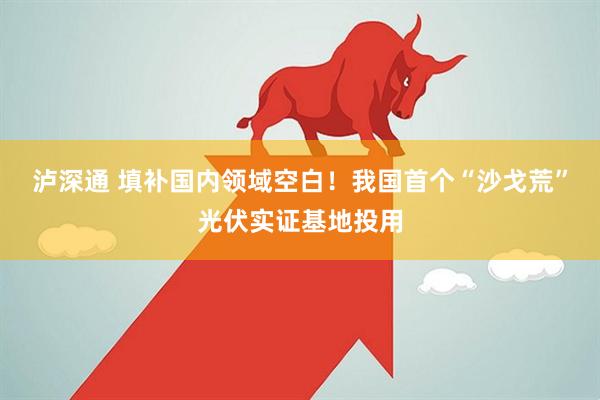 泸深通 填补国内领域空白！我国首个“沙戈荒”光伏实证基地投用